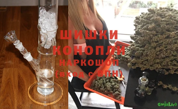 PSILOCYBIN Верея