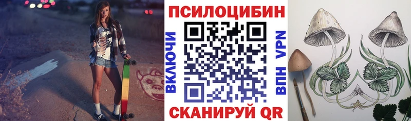 Псилоцибиновые грибы мицелий  Жиздра 
